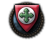 GFX_decision_cat_hun_arrow_cross_party