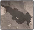 GFX_decision_cat_picture_form_transcaucasian_republic