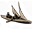 GFX_decision_hol_engelandvaarders