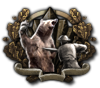 GFX_focus_eng_expose_the_belly_of_the_bear