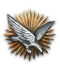 air_support_focus