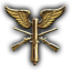 DEN_flyvertroppernes_organization