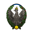 GFX_intelligence_agency_logo_pol