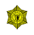 GFX_intelligence_agency_logo_ICE_logreglan